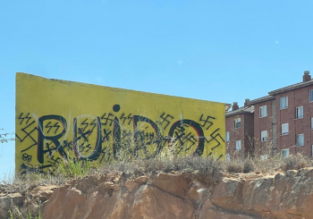 Pintada Teruel 2