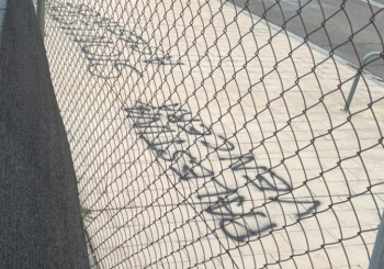 pintada Zaragoza softball