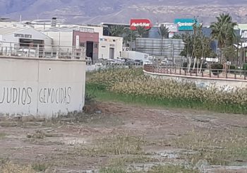 Pintada Judios genocidas