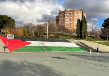 bandera palestina en parque Madrid (1)